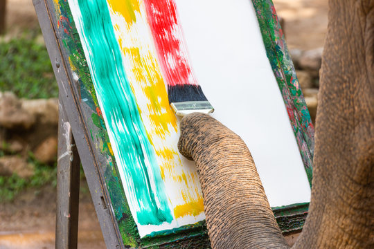 Elephant painting in picture elephant, At The Thai Elephant Conservation Center (TECC)
