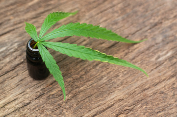 Marijuana, oil extraction and oil bottles, placed in the top, revive and refresh image after marijuana - the idea of maintaining health.