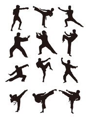 Martial Arts Fighter Silhouettes
