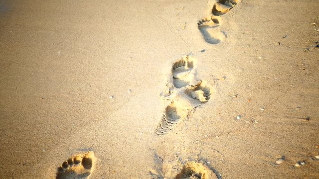 Sandy beach by the sea. Footprints in the sand along the coast.