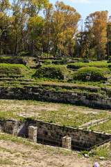 Old grown with grass stairs of Ancient ruins of Anfiteatro Romano Siracusa