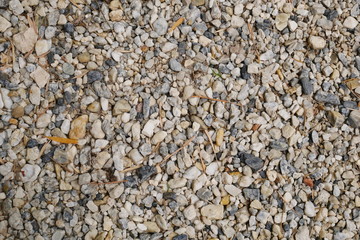 dirty gravel background, texture of small stone