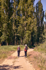 Fototapeta premium Rear view of man and women hiking on footpath