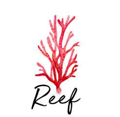 sea coral water color art illustration