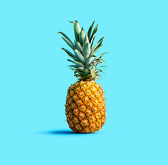 One pineapple on a solid color background