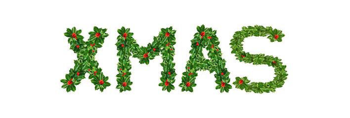 Holly With Berry Letters alphabet. Holly Leaves with berry's in the form of xmas. Isolated on white