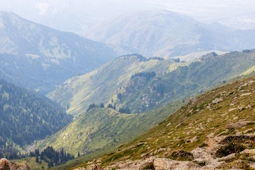 Naklejka premium Mountain valley in summer, Almaty, Kazakhstan. View from the mountain peak Kumbel