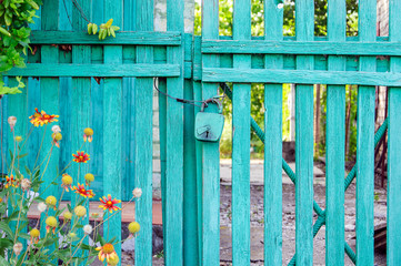 Wooden fence of green color with the lock. Gate in front of the house, flowers