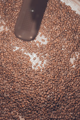 Selección de granos de cafe tostados sobre una mesa