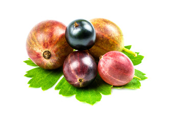 Gooseberry and black currant berries isolated on a white background.