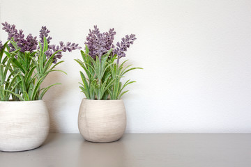 Bouquet of dry lavender in ceramic pot with white wall. Copy space for text.
