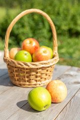 Green and red apple in wicker basket on wooden table Green grass in the garden Harvest time Organic food Rustic style