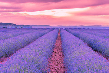 Fototapeta na wymiar French landscape - Valensole. Sunset over the fields of lavender in the Provence (France).
