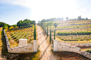 Fototapeta na wymiar AeArial view of gateway to lavender and herbs cascade fields