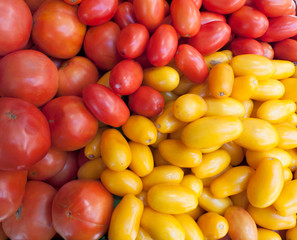 Assorted Tomatoes