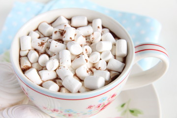 A Cup of cocoa and marshmallows on a white background.