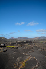 lanzarote landscape