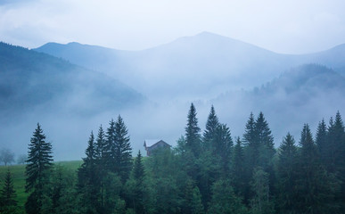 Morning pre-bright fog on the slopes of the mountains in the Carpathians, Ukraine