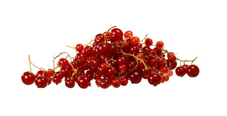 Red currants isolated on white background
