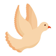 beautiful dove bird flying icon