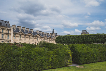 Fototapeta na wymiar Parisian buildings next to Tuileries Garden, in Paris, France