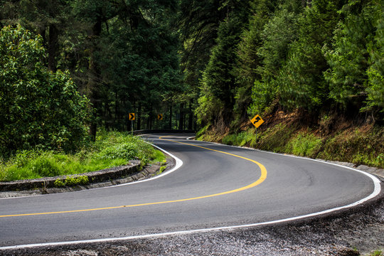 carretera en bosque de Morelos