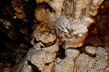 stalagmites and stalactites that form like the human brain