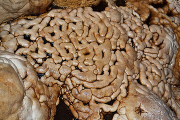 Fototapeta na wymiar stalagmites and stalactites that form like the human brain