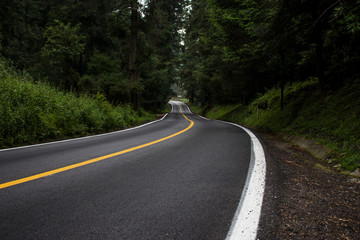 carretera en bosque de Morelos