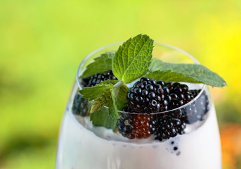 Fototapeta na wymiar Yogurt with fresh blackberries and branch of mint.