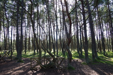 sea, beach, ocean, water,