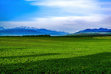 Rural landscape with green fields to the horizon. Against the background of the Caucasus Mountains in the haze and blue sky with clouds.