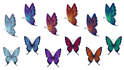 Set of butterflies with colorful wings. View from above and side , on a white  background .Vector illustration.