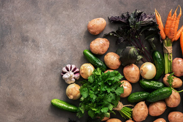 Fresh raw vegetables of the new crop, potatoes, onions, carrots, garlic, cucumbers, basil and parsley on a dark rustic background. Top view, flat lay,copy space