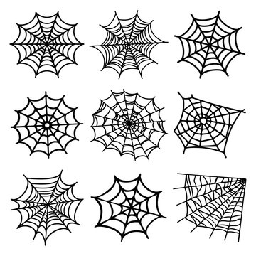 Spider Web Silhouette