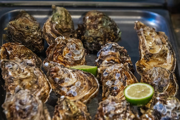 Catania Sicily Italy