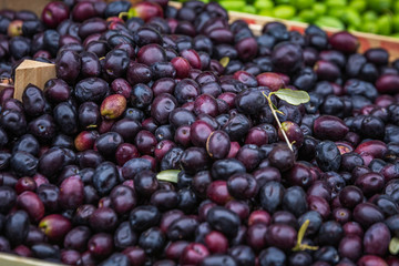 Catania Sicily Italy