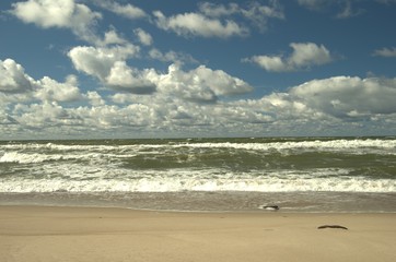 Baltic sea