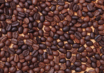Full background of dark roasted coffee bean