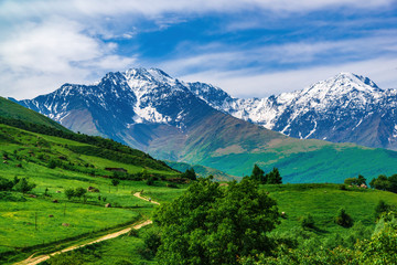 Fototapeta na wymiar Beautiful view of alpine meadows in the Caucasus mountains. Pastures, meadows on the slopes and snow-capped mountains.