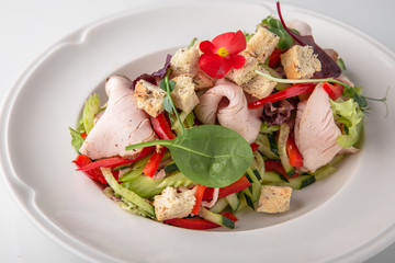 Salad of ham, prosciutto, pork or beef with vegetables, greens, berries and sauce. Nutritious, healthy dish. Banquet festive dishes. Gourmet restaurant menu. White background.