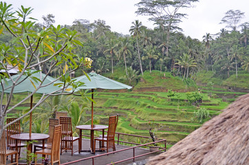 Cafe among palm trees. Bali. Indonesia.
