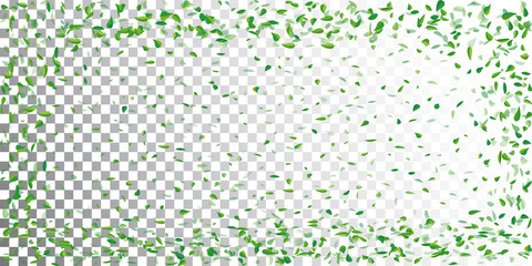 Green leaves frame. Template for design business cards, invitations, gift cards, flyers and brochures, websites. Abstract backdrop. Vector illustration