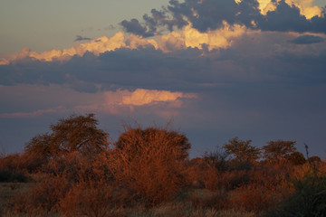 Landschaft in Namibia Afrika
