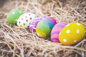 Fototapeta na wymiar Easter eggs placed on hay. Festival