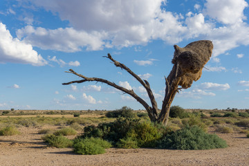 Landschaft in Namibia Afrika