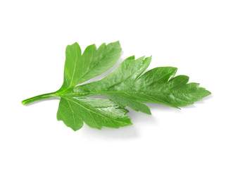 Fresh green organic parsley on white background