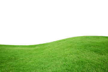 Green Grass Texture with White Blank Copyspace
