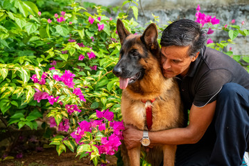 German Shepherd in Garden