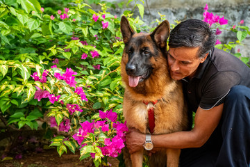 German Shepherd in Garden